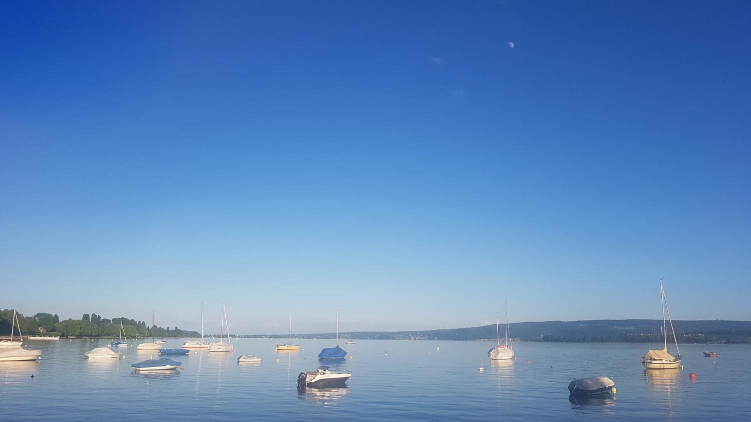 Seebar Radolfzell – Seesicht mit Booten